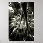 crescendo poster (Voorkant)