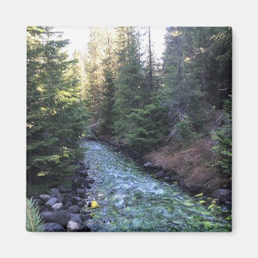 Crescent Creek, Oregon Magneet (Voorkant)