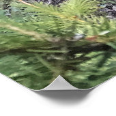 Crescent Creek, Oregon Poster (Hoek)