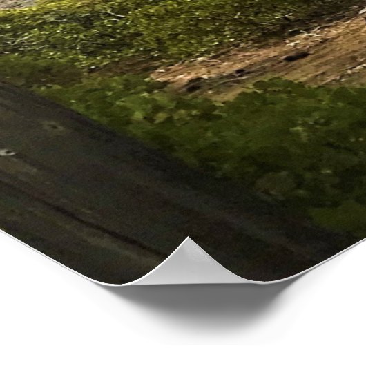 Crescent Lake, OR Poster (Hoek)