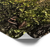 Crescent Lake, OR Poster (Hoek)