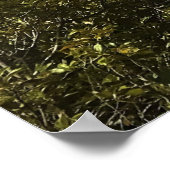 Crescent Lake, Oregon Poster (Hoek)