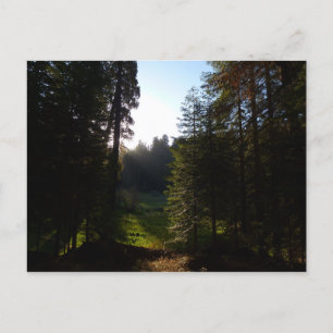 Crescent Meadow Morning Briefkaart