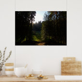 Crescent Meadow-ochtend bij Sequoia National Park Poster (Keuken)