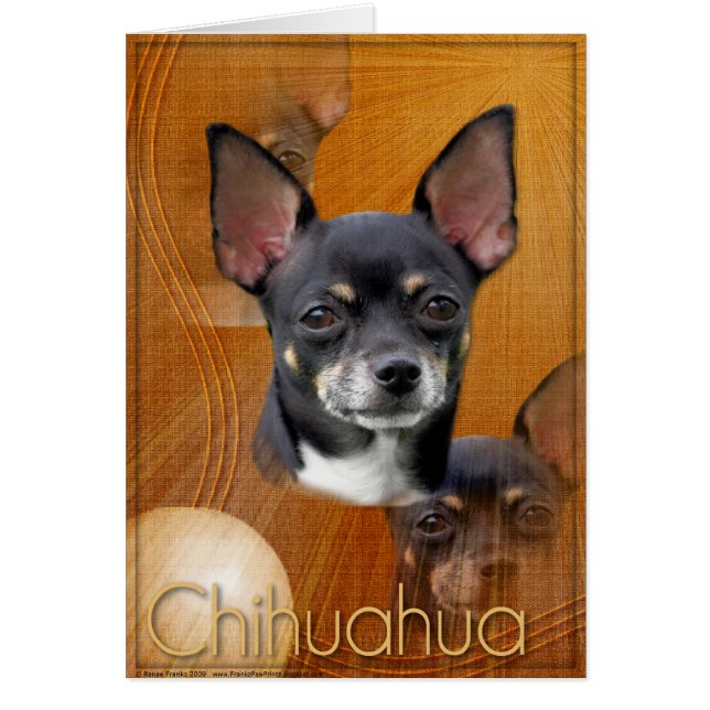 Crescent Moon - Isabella (Voorkant)