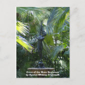 CREST van het Beeldhouwwerk van de Golf Briefkaart (Voorkant)