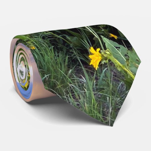 Crested Butte, CO-foto Stropdas (Opgerold)