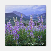 Crested Butte Magnet (Voorkant)