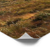 Crested Butte Poster (Hoek)