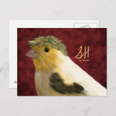 Crested Canary Briefkaart (Voorkant / Achterkant)