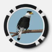 Crested Caracara Clay Poker Chip (Achterkant)