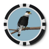 Crested Caracara Clay Poker Chip (Voorkant)