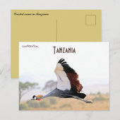 Crested Crane in Tanzania Briefkaart (Voorkant / Achterkant)
