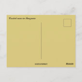 Crested Crane in Tanzania Briefkaart (Achterkant)