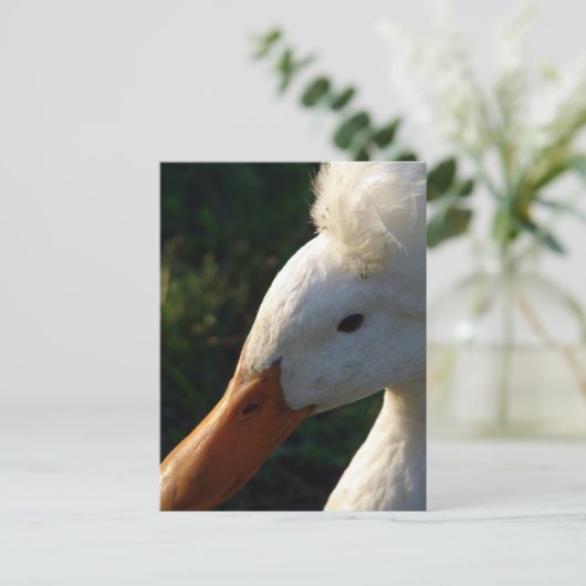 Crested Duck Briefkaart (Staand voorkant)