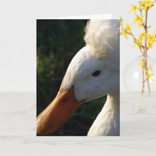 Crested Duck Kaart (Gele Bloem)