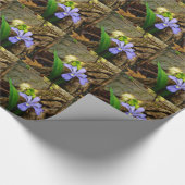 Crested Dwarf Iris blue paarse witte bloem Cadeaupapier (Hoek)