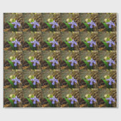 Crested Dwarf Iris blue paarse witte bloem Cadeaupapier (Vlak)
