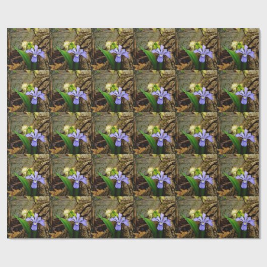 Crested Dwarf Iris blue paarse witte bloem Cadeaupapier (Vlak)