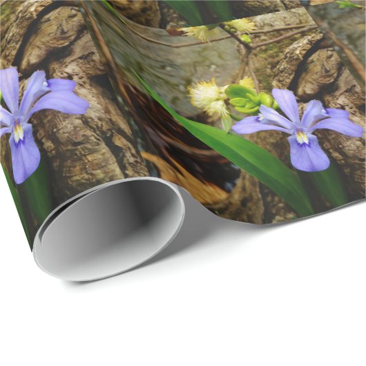 Crested Dwarf Iris blue paarse witte bloem Cadeaupapier (Rol Hoek)