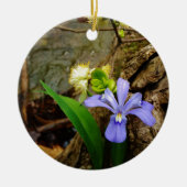 Crested Dwarf Iris blue paarse witte bloem Keramisch Ornament (Voorkant)