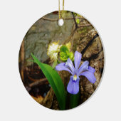 Crested Dwarf Iris blue paarse witte bloem Keramisch Ornament (Links)