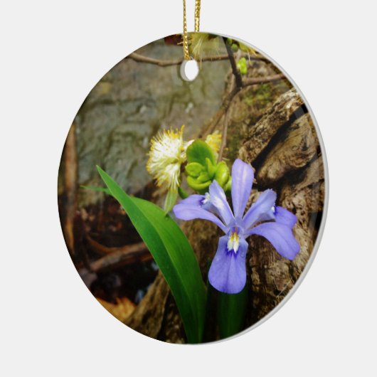 Crested Dwarf Iris blue paarse witte bloem Keramisch Ornament (Links)