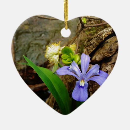 Crested Dwarf Iris blue paarse witte bloem Keramisch Ornament (Voorkant)