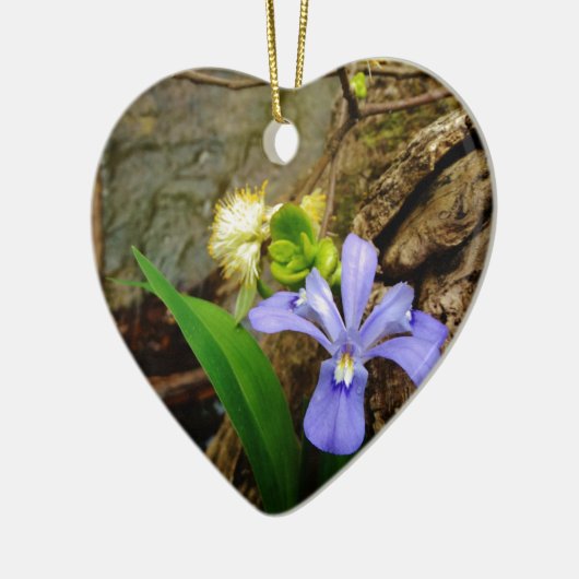 Crested Dwarf Iris blue paarse witte bloem Keramisch Ornament (Links)