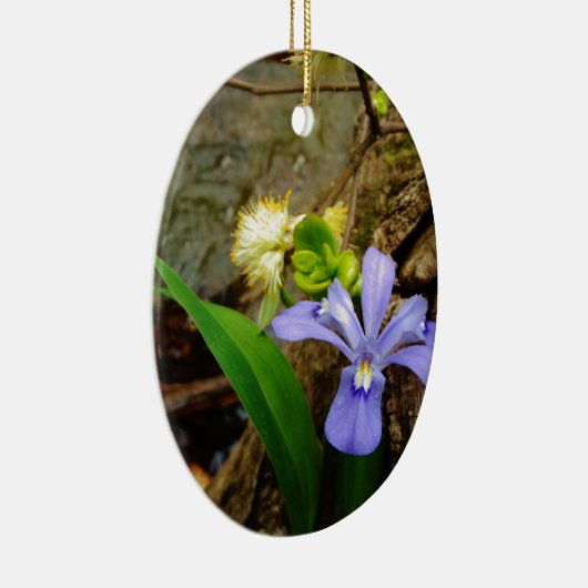 Crested Dwarf Iris blue paarse witte bloem Keramisch Ornament (Rechts)