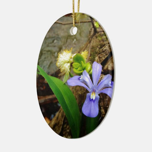 Crested Dwarf Iris blue paarse witte bloem Keramisch Ornament (Links)