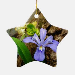 Crested Dwarf Iris blue paarse witte bloem Keramisch Ornament
