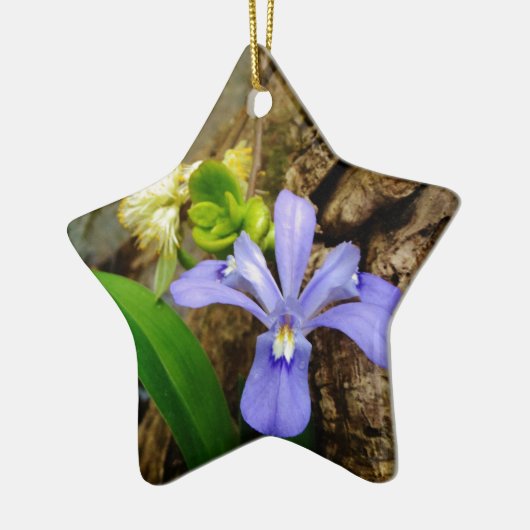 Crested Dwarf Iris blue paarse witte bloem Keramisch Ornament (Links)