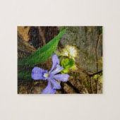 Crested Dwarf Iris blue paarse witte bloem Legpuzzel (Horizontaal)