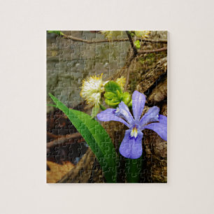 Crested Dwarf Iris blue paarse witte bloem Legpuzzel