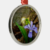 Crested Dwarf Iris blue paarse witte bloem Metalen Ornament (Rechts)