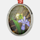 Crested Dwarf Iris blue paarse witte bloem Metalen Ornament (Links)