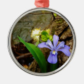 Crested Dwarf Iris blue paarse witte bloem Metalen Ornament (Voorkant)