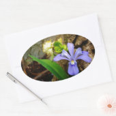 Crested Dwarf Iris blue paarse witte bloem Ovale Sticker (Envelop)