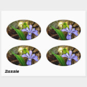 Crested Dwarf Iris blue paarse witte bloem Ovale Sticker (Vel)