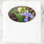 Crested Dwarf Iris blue paarse witte bloem Ovale Sticker (Tas)