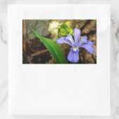 Crested Dwarf Iris blue paarse witte bloem Rechthoekige Sticker (Tas)