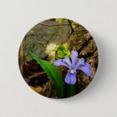 Crested Dwarf Iris blue paarse witte bloem Ronde Button 5,7 Cm (Voorkant)