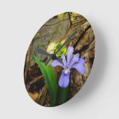 Crested Dwarf Iris blue paarse witte bloem Ronde Klok (Hoek)