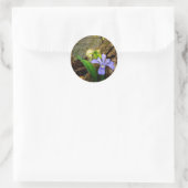 Crested Dwarf Iris blue paarse witte bloem Ronde Sticker (Tas)