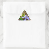 Crested Dwarf Iris blue paarse witte bloem Sticker (Tas)