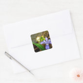 Crested Dwarf Iris blue paarse witte bloem Vierkante Sticker (Envelop)
