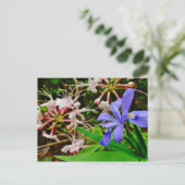 Crested Dwarf Iris Briefkaart (Staand voorkant)