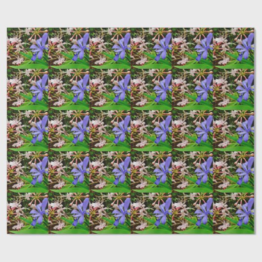 Crested Dwarf Iris Cadeaupapier (Vlak)