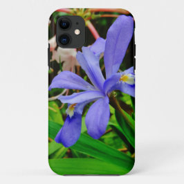 Crested Dwarf Iris iPhone 11 Hoesje